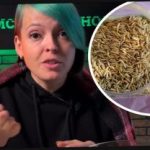 Jak vybrat moštové rostliny a překvapit sousedy úrodou: zahradník dal účinné tipy Jak vybrat moštové rostliny a překvapit sousedy úrodou: zahradník dal