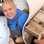 Jak vyčistit pračku od plísní a zápachu: tipy odborníka, jak ušetřit peníze Jak vyčistit pračku od plísní a zápachu: tipy odborníka, jak