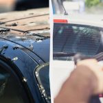 Ptáci už nebudou kydat hnůj na auta: tady je, co musíte udělat Ptáci už nebudou kydat hnůj na auta: tady je, co