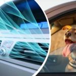 Vlna veder zasáhla Ukrajinu: jak rychle ochladit interiér auta bez klimatizace Vlna veder zasáhla Ukrajinu: jak rychle ochladit interiér auta bez